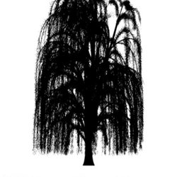 Willow Tree Tavern