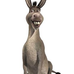 Susan M. King, DMD & Associates, PSC - Even Dr. King can make Happy Donkeys!