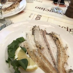 Al Bocconcino - Grilled sole was great too.