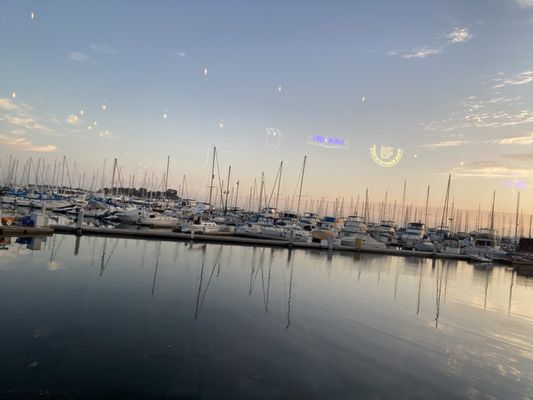 The Galley by null