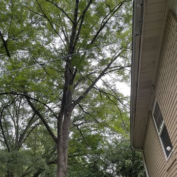 Cowboy Tree Care - Tree Services Near Me Cowboy Tree Care - Tree Services Near Me