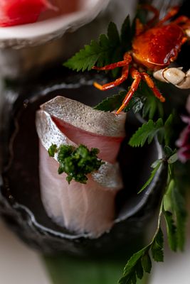 Sushi Gaga by null