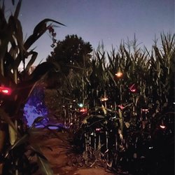 Hlubik Farms - Corn Maze: After Dark!