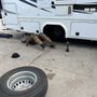 Photo of Skip's Auto Repair