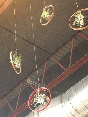 The Backspace by null