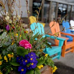 Gainan's Heights Flowers & Garden