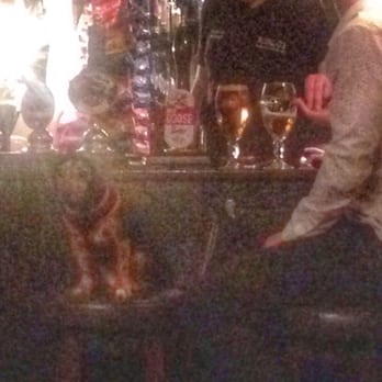Red Lion - Cute dog at the bar! - Pubs Near Me - York, YOR