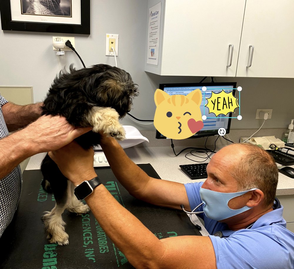 ROSCOE VILLAGE ANIMAL HOSPITAL 26 Photos & 204 Reviews 3131 N