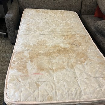 Relux at Westchase - Full pullout bed of first room - Apartments Near Me - Houston, Texas Relux at Westchase - Full pullout bed of first room - Apartments Near Me - Houston, Texas
