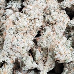 Miles Canna Store - https://www.snapchat.com/add/buds_carts