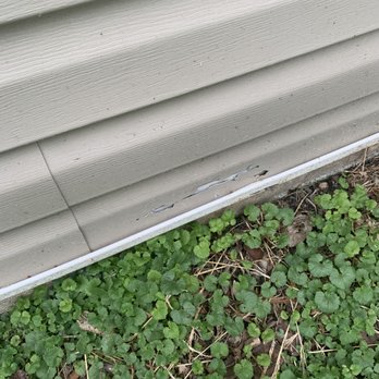 Quality Cut Lawn Service - a close up of a lawn - Lawn Services Near Me - Wilmington, Delaware Quality Cut Lawn Service - a close up of a lawn - Lawn Services Near Me - Wilmington, Delaware