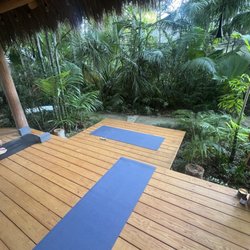 Key West Yoga Sanctuary - Serene view from my yoga mat