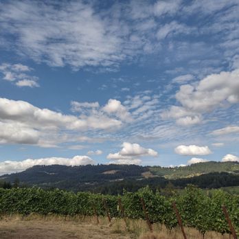 Sealionne Wines - Gorgeous skies - Wine Tours Near Me - Newberg, Oregon Sealionne Wines - Gorgeous skies - Wine Tours Near Me - Newberg, Oregon