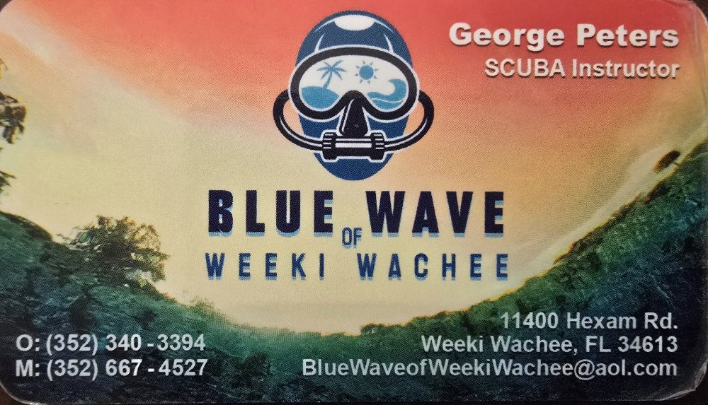 Blue Wave Logo