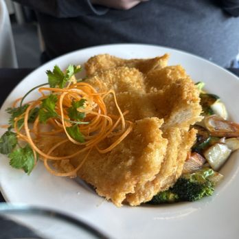 Saisaki - Crispy Chicken Katsu - Sushi Bars Near Me - Fort Wayne, Indiana Saisaki - Crispy Chicken Katsu - Sushi Bars Near Me - Fort Wayne, Indiana