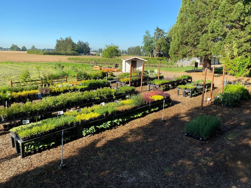 NORTHWOOD NURSERY 9191 Northwood Rd, Lynden, Washington Nurseries