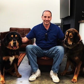 Purple Cow Dog Training - Pet Training Near Me Purple Cow Dog Training - Pet Training Near Me