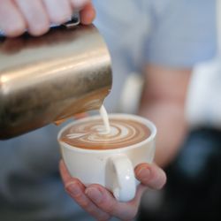 Velvet Sip Cafe
