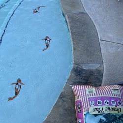 Pools by Shawn Dunavin - Pool steps with inlaid tile