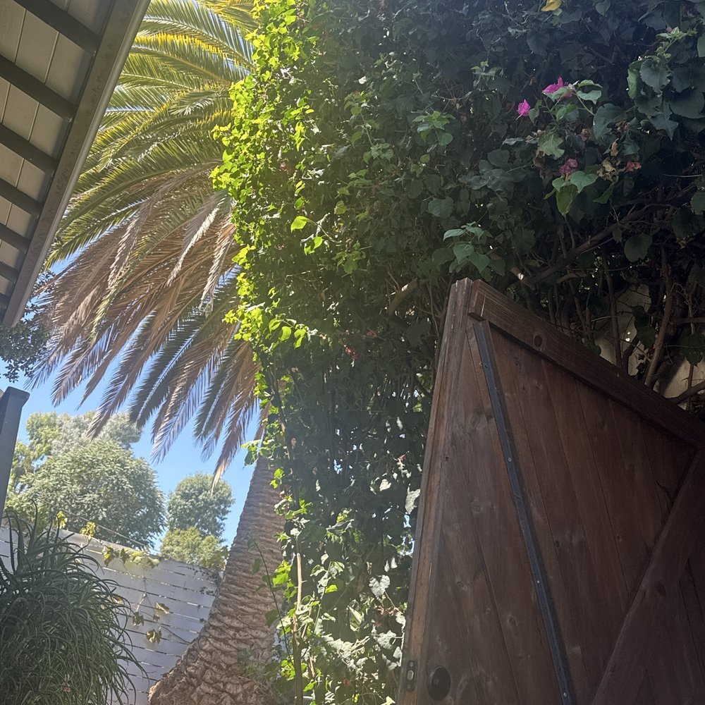 Rich Michalowski - Real Estate Agents Near Me - Los Angeles, California Rich Michalowski - Real Estate Agents Near Me - Los Angeles, California