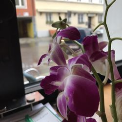 Also nice on rainy days