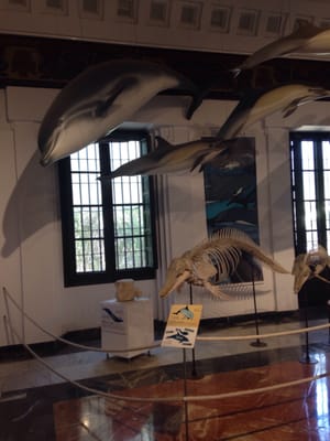 Casa de la Ciencia by null