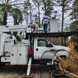 Harry Hannah Tree Service - I have some tight spaces and he navigated it like a Pro.