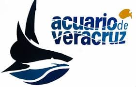 Aquarium of Veracruz by null