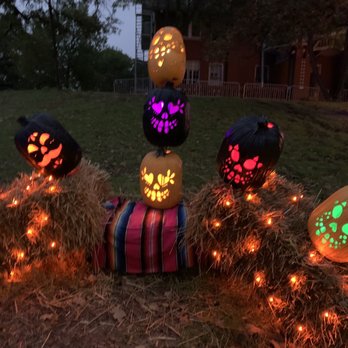 Pumpkin Nights - Festivals Near Me - Arlington, Texas Pumpkin Nights - Festivals Near Me - Arlington, Texas