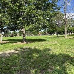 Mestizo-Curtis Park
