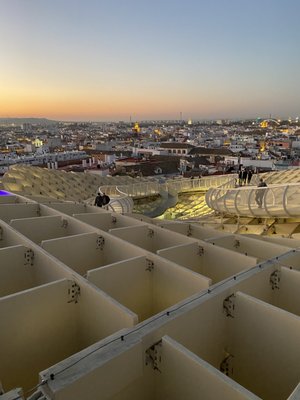Setas de Sevilla by null