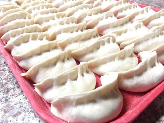 Yummy Dumpling by null
