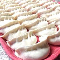 Yummy Dumpling - Pork Pot Sticker
