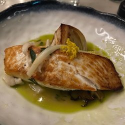 Halibut