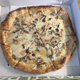 Fungi pizza Fungi pizza