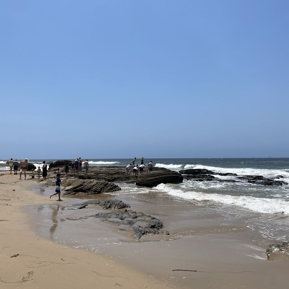 Crystal Cove State Park - Parks Near Me - Laguna Beach, California Crystal Cove State Park - Parks Near Me - Laguna Beach, California