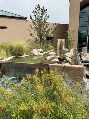 ABQ BioPark Aquarium by null