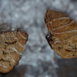 Ginger Pear scones