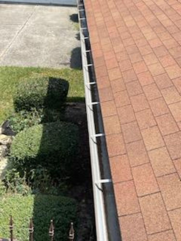 Slide of Cruz Landscape And More