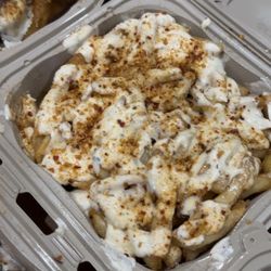 6ixty Wings - garlic parm fries