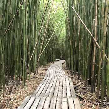 Pipiwai Trail - Hiking Near Me - Hana,, Hawaii