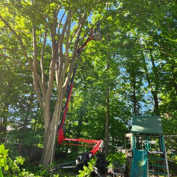 LCN Tree Service - Tree trimming - Masonry/Concrete Near Me - Lynn, Massachusetts LCN Tree Service - Tree trimming - Masonry/Concrete Near Me - Lynn, Massachusetts