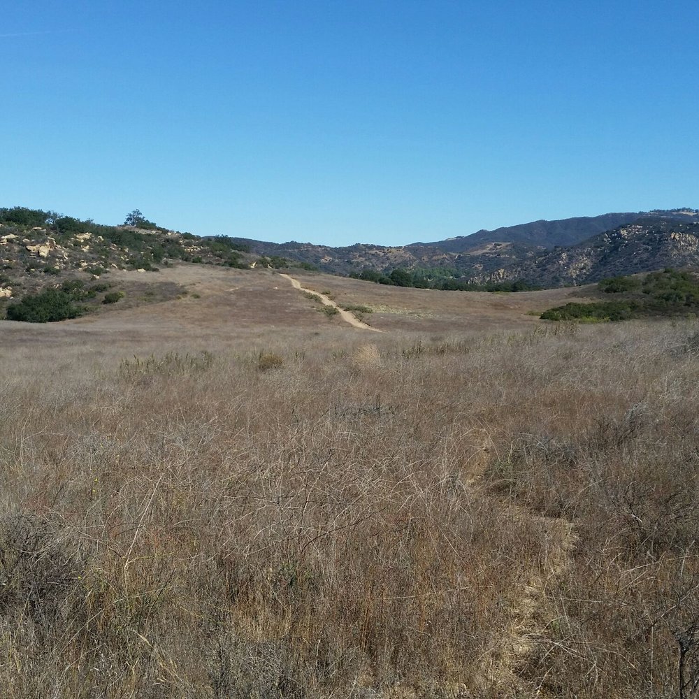 Charmlee Wilderness Park - Parks Near Me - Malibu, California
