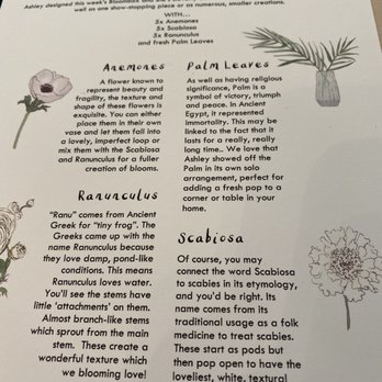 Matilda's Bloombox - flower types! - Florists Near Me - San Francisco, California Matilda's Bloombox - flower types! - Florists Near Me - San Francisco, California