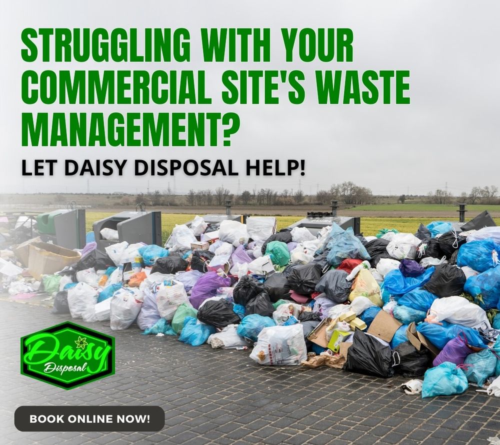 DAISY DISPOSAL Updated September 2024 66 Photos 200 Cherry Ave