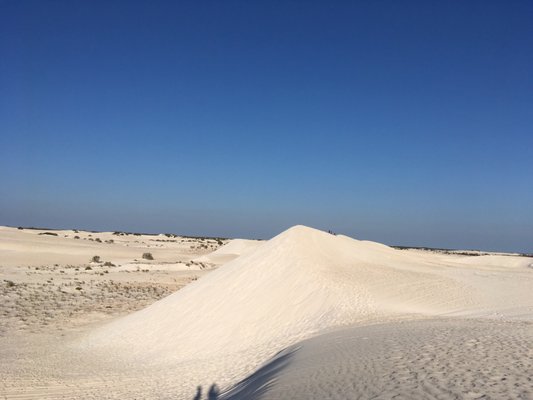 Lancelin Sand Dunes by null