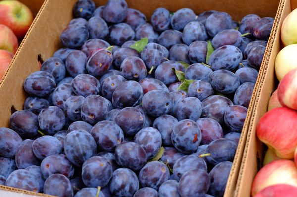Tonnemaker Valley Farm & Woodinville Farm Stand by null