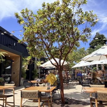 Linden Square - Burgers Near Me - Carpinteria, California
