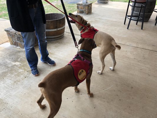 Valley View Farm by null