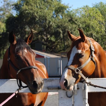 Altadena Stables - Horseback Riding Near Me - Altadena, California Altadena Stables - Horseback Riding Near Me - Altadena, California